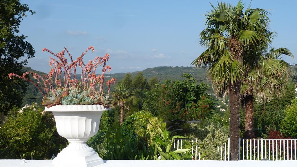 La Lezardiere Hotel La Colle-sur-Loup Esterno foto